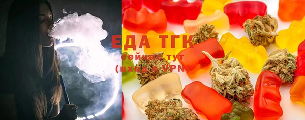индика Богородицк