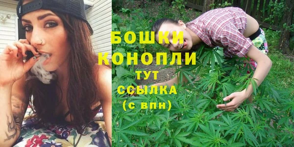 индика Богородицк
