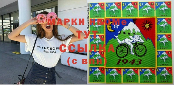 индика Богородицк