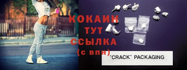 индика Богородицк
