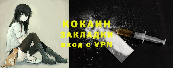 индика Богородицк