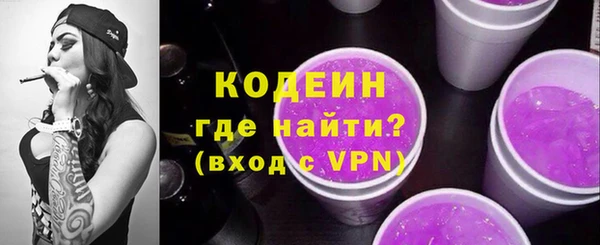 индика Богородицк