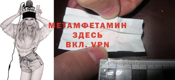 индика Богородицк