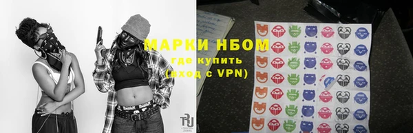 индика Богородицк