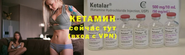 индика Богородицк