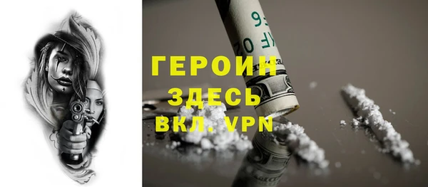 индика Богородицк