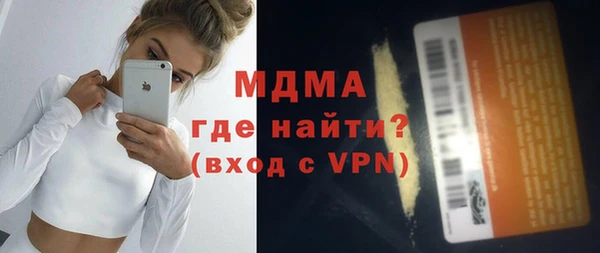 индика Богородицк