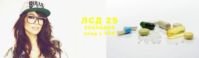 индика Богородицк