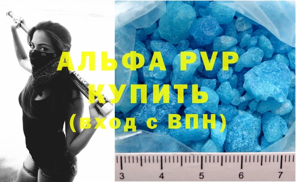 индика Богородицк