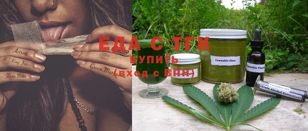 индика Богородицк