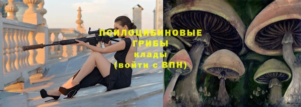 jwh Богданович