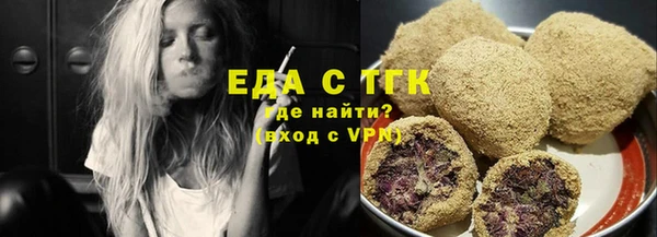 индика Богородицк