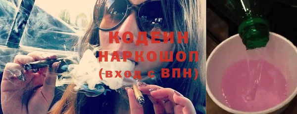 индика Богородицк