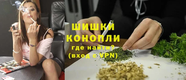 индика Богородицк