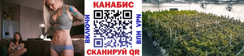 Марихуана план  hydra онион  Ставрополь 